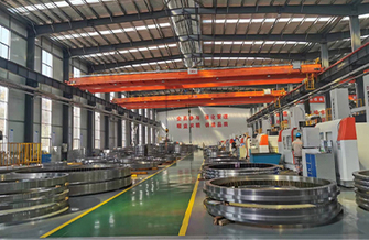 Slewing Bearings Factory