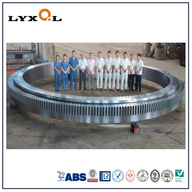 OEM Turntable Roller Slewing Bearing for Excavator