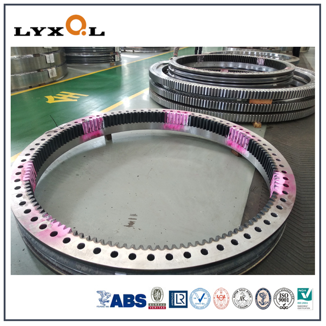 Customize Double Row Ball Slewing Bearing for Excavator